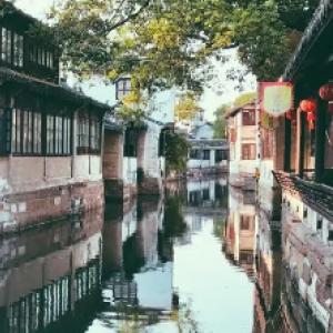 森林消防训导员与他“无言的战友”